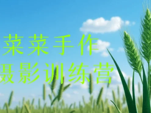 2025菜菜手作专业摄影训练营