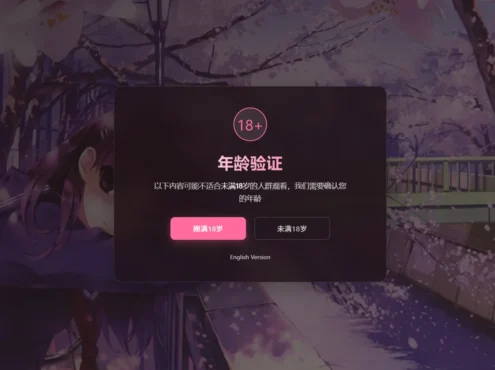  年龄验证恶搞页HTML源码